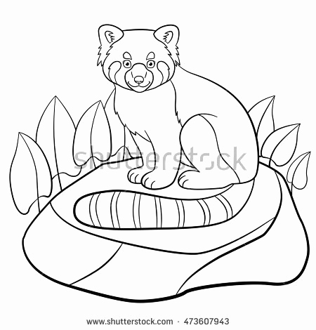450x470 Red Panda Coloring Page Images Coloring Pages Little Cute Red