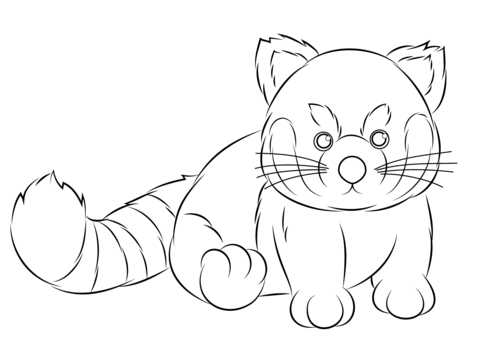 480x358 Red Panda Coloring Page Webkinz Red Panda Coloring Page Free