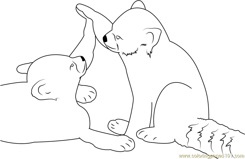 800x520 Red Panda Having Fun Coloring Page
