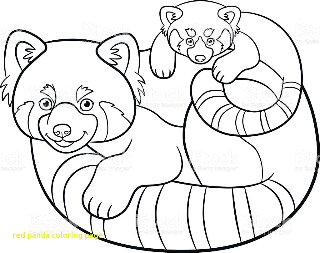 1024x809 Red Panda Coloring Page Coloring Pages Mother Red Panda