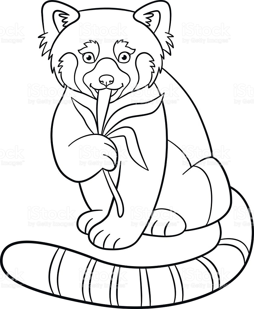 841x1024 Red Panda Coloring Page With Wallpaper Phone Mayapurjacouture Red