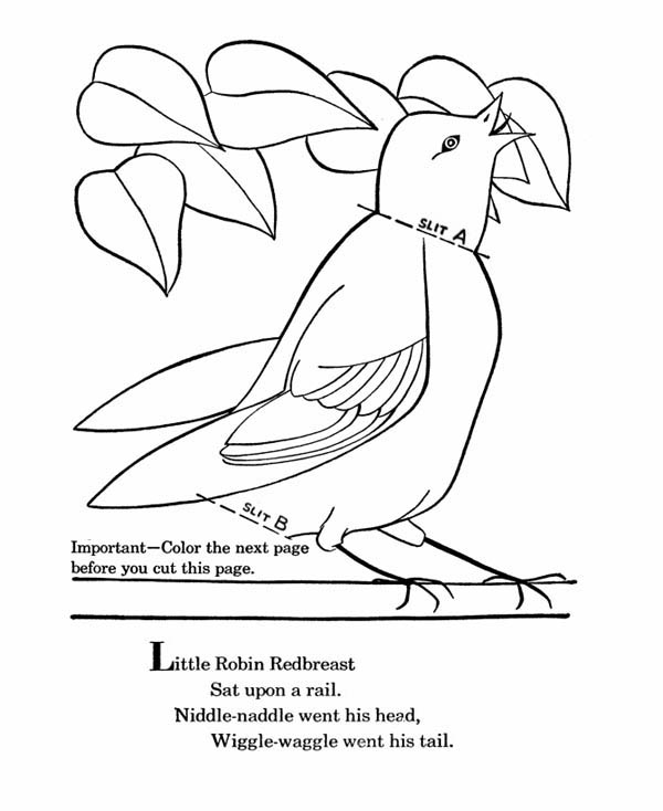 Little Robin Redbreast Coloring Page 600x734 Little Robin Redbreast Coloring Page