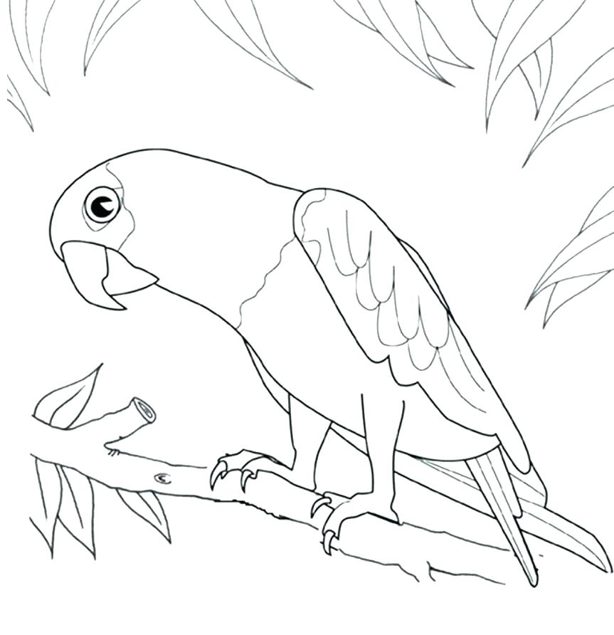 Robin Bird Coloring Pages Printable Bird Coloring Pages Printable 863x892 Robin Bird Coloring Pages Printable Bird Coloring Pages Printable