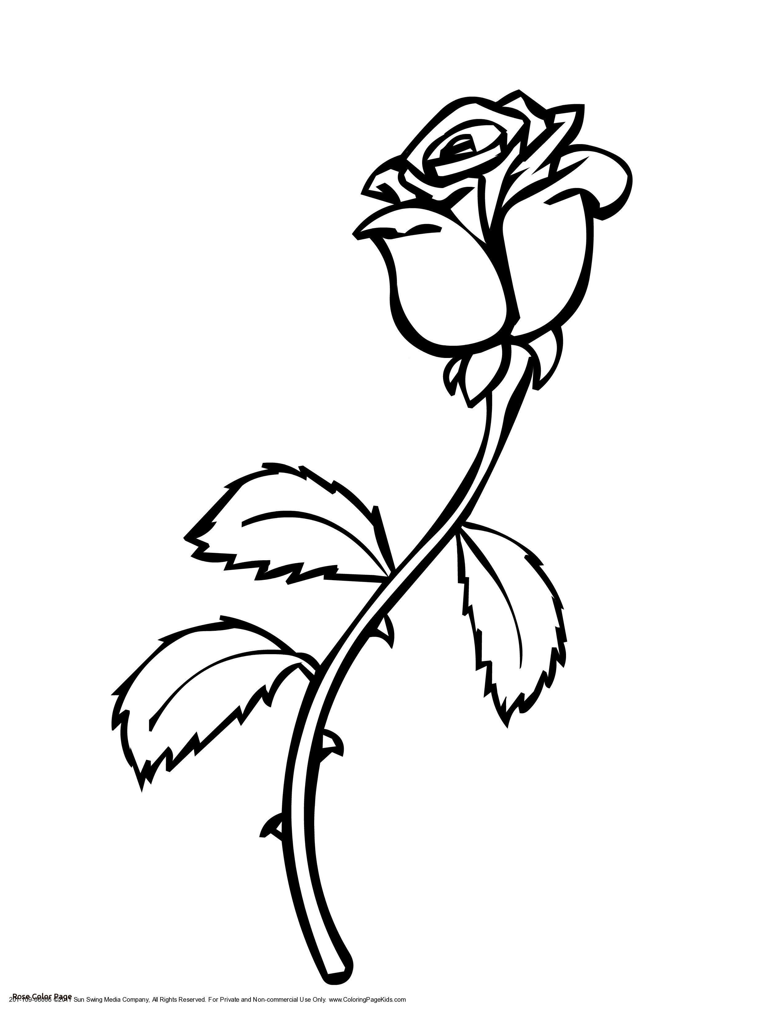 Printable Red Rose Valentines Coloring Pages Valentine Printables 2550x3300 Printable Red Rose Valentines Coloring Pages Valentine Printables