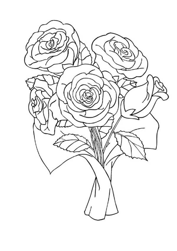 Red Rose Coloring Page 600x853 Red Rose Coloring Page