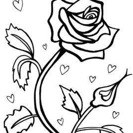 Red Rose Coloring Page Kids Drawing And Coloring Pages 268x268 Red Rose Coloring Page Kids Drawing And Coloring Pages