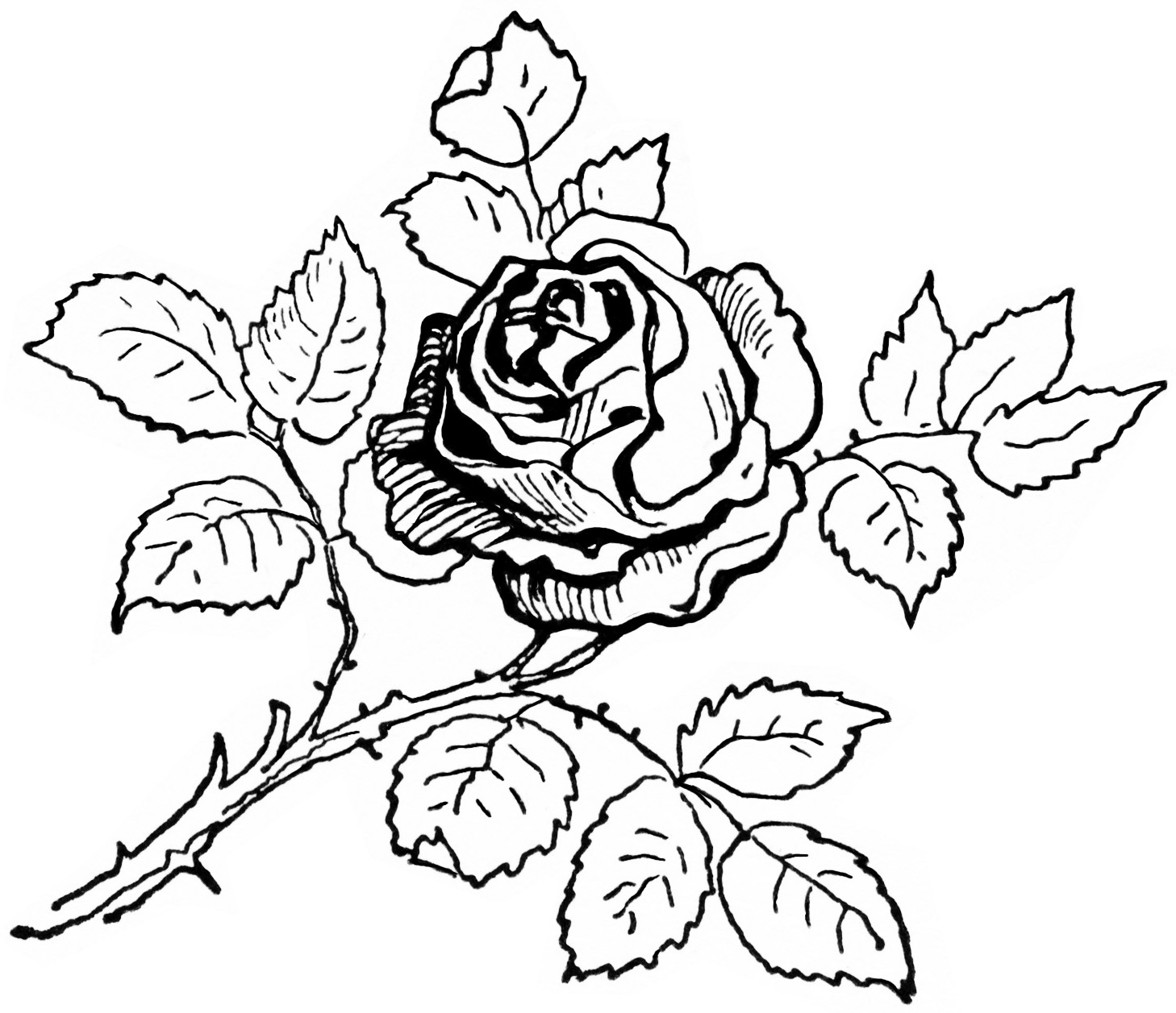 Rose Coloring Page 1458x1257 Rose Coloring Page