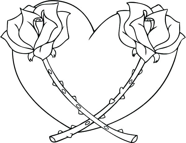 Rose Coloring Pages Red Rose Coloring Page Rose Coloring Pages 600x460 Rose Coloring Pages Red Rose Coloring Page Rose Coloring Pages