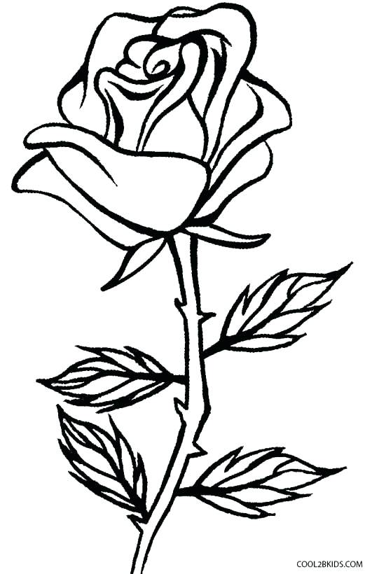 Roses Coloring Page Roses Coloring Pages Rose Coloring Books 531x820 Roses Coloring Page Roses Coloring Pages Rose Coloring Books