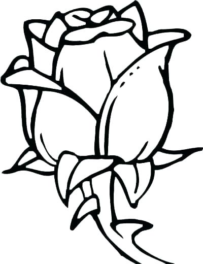 Rose Bouquet Coloring Pages 400x520 Rose Bouquet Coloring Pages