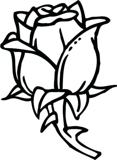 Coloring Pages Rose Online Coloring Pages Roses Coloring Pages 375x513 Coloring Pages Rose Online Coloring Pages Roses Coloring Pages