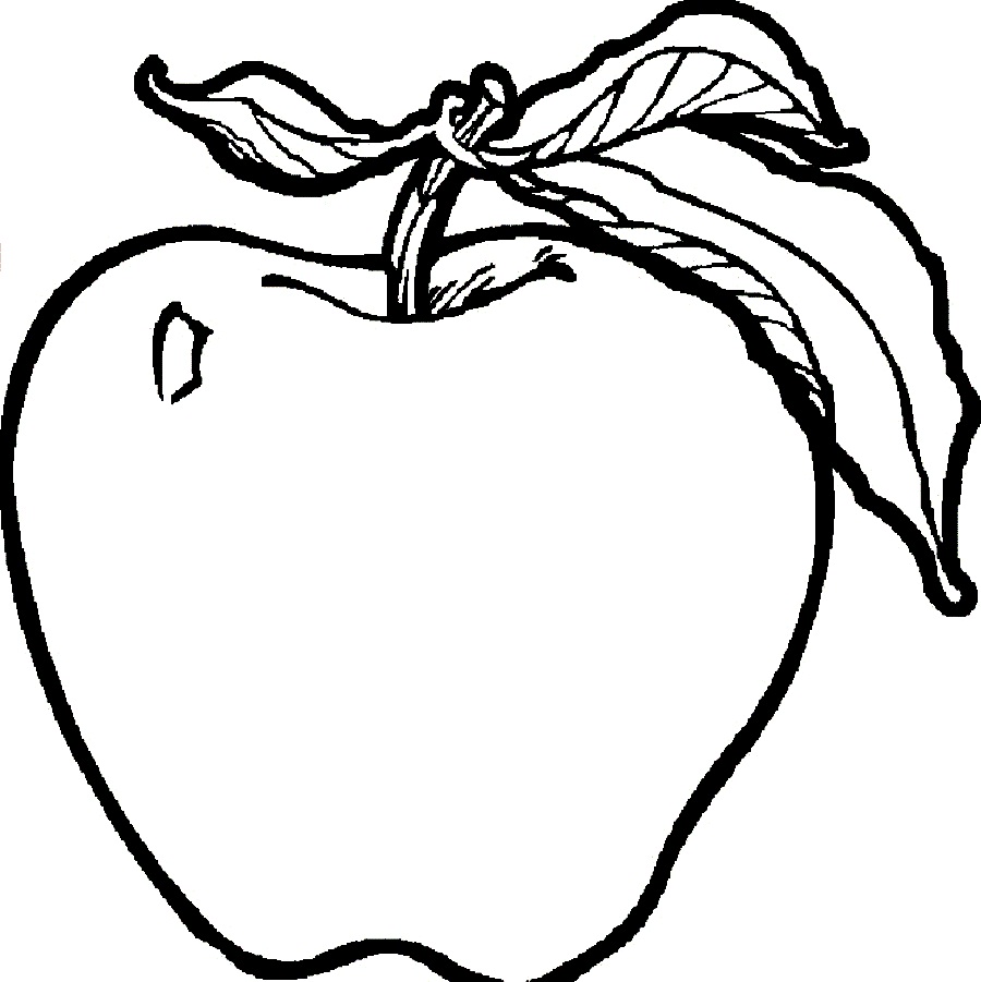 900x901 Apple Clipart Coloring Page