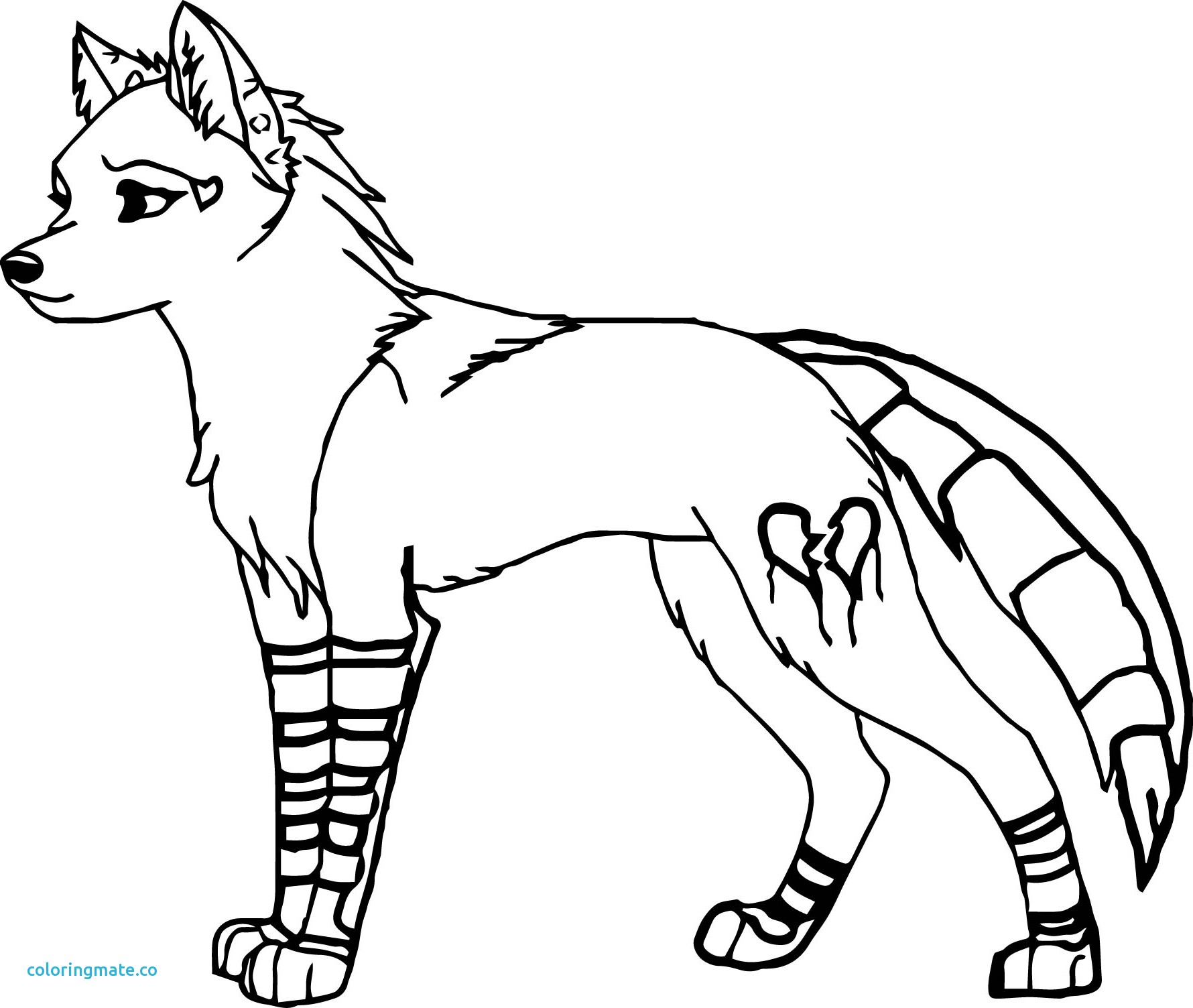 Ideas Collection Wolf Fighting Coloring Pages For Coloring Pages 1780x1504 Ideas Collection Wolf Fighting Coloring Pages For Coloring Pages