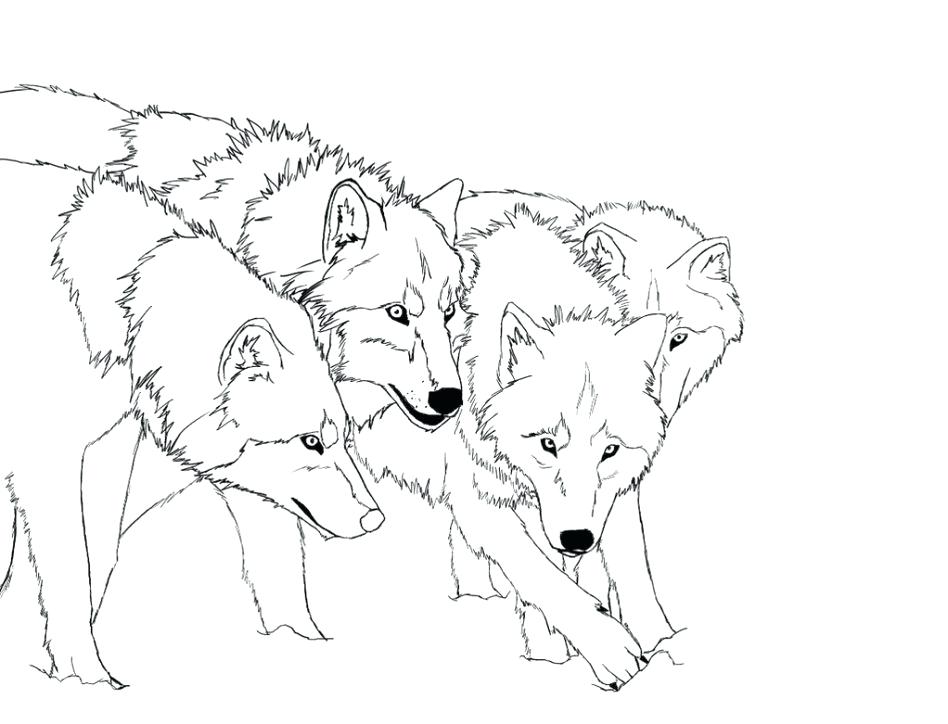 Red Wolf Coloring Pages 948x724 Red Wolf Coloring Pages