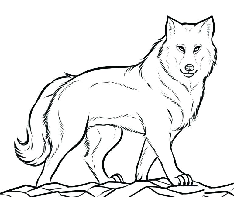 Wolf Pictures To Color Together With Coloring Pages Red Wolf 770x649 Wolf Pictures To Color Together With Coloring Pages Red Wolf