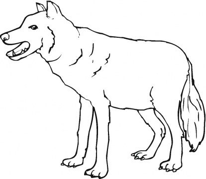 Red Wolf Coloring Pages at GetColorings.com | Free printable colorings ...