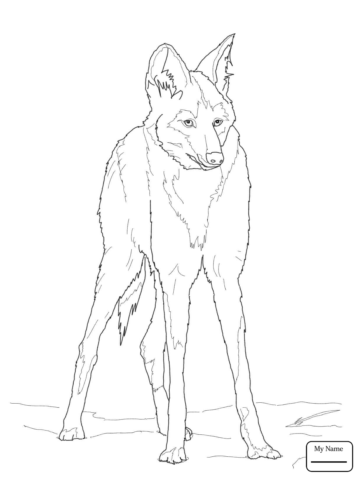 Fresh Copy Red Wolf Coloring Pages 1224x1632 Fresh Copy Red Wolf Coloring Pages
