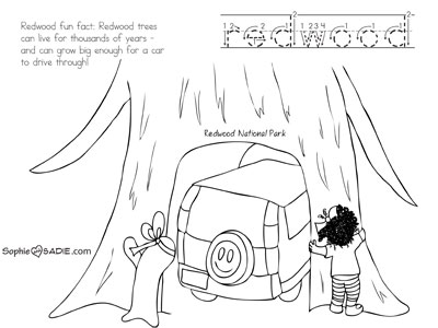 Coloring Page Redwood National Park Sophie And Sadie 400x300 Coloring Page Redwood National Park Sophie And Sadie