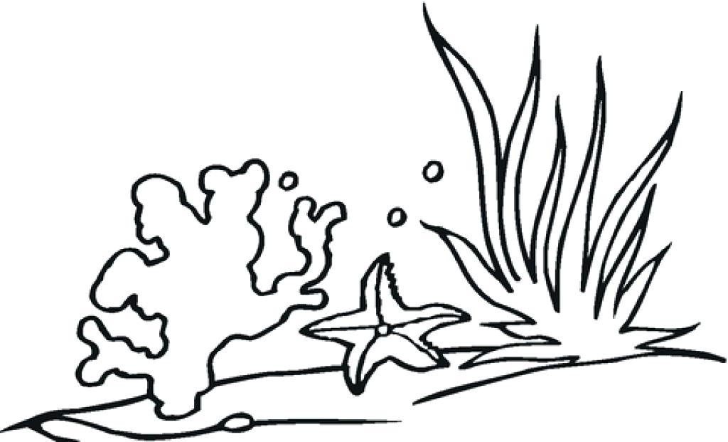 Coral Coloring Pages Coral Reef Coloring Page Free Printable 1024x621 Coral Coloring Pages Coral Reef Coloring Page Free Printable