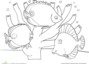 Coral Reef Worksheet 301x218 Coral Reef Worksheet