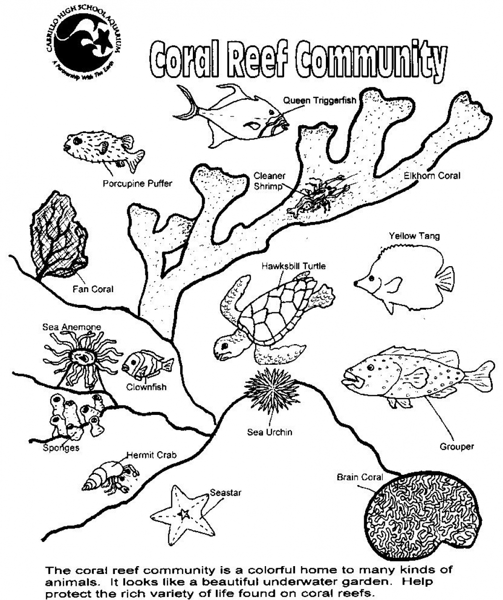 Coral Reef Coloring Page 1025x1222 Coral Reef Coloring Page