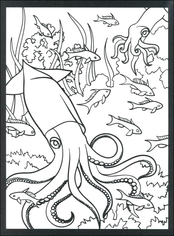 Coral Reef Coloring Page Coloring Pages Of Coral Reefs Coral 592x800 Coral Reef Coloring Page Coloring Pages Of Coral Reefs Coral