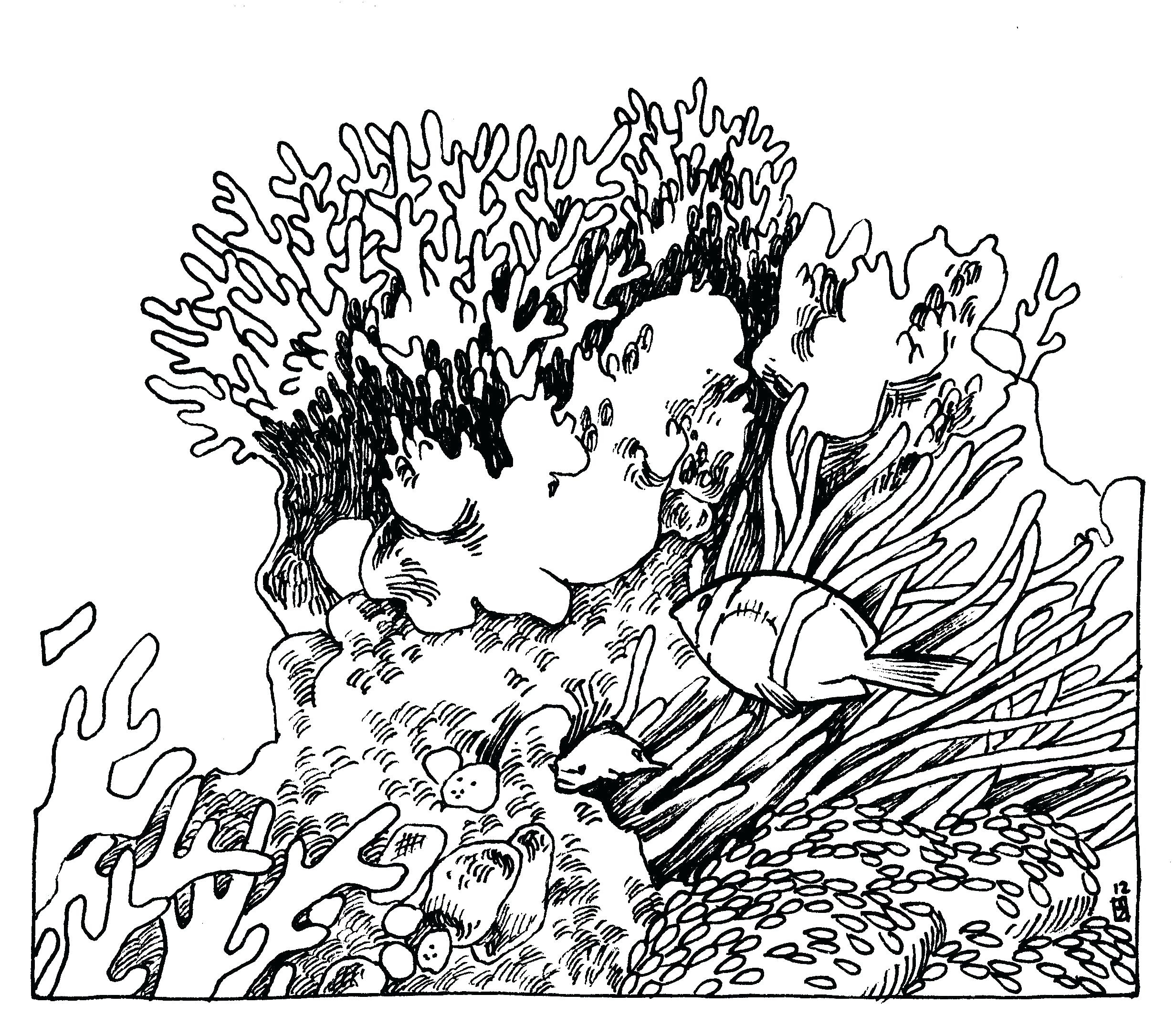 Fresh Coloring Reef Coloring Pages 2462x2171 Fresh Coloring Reef Coloring Pages