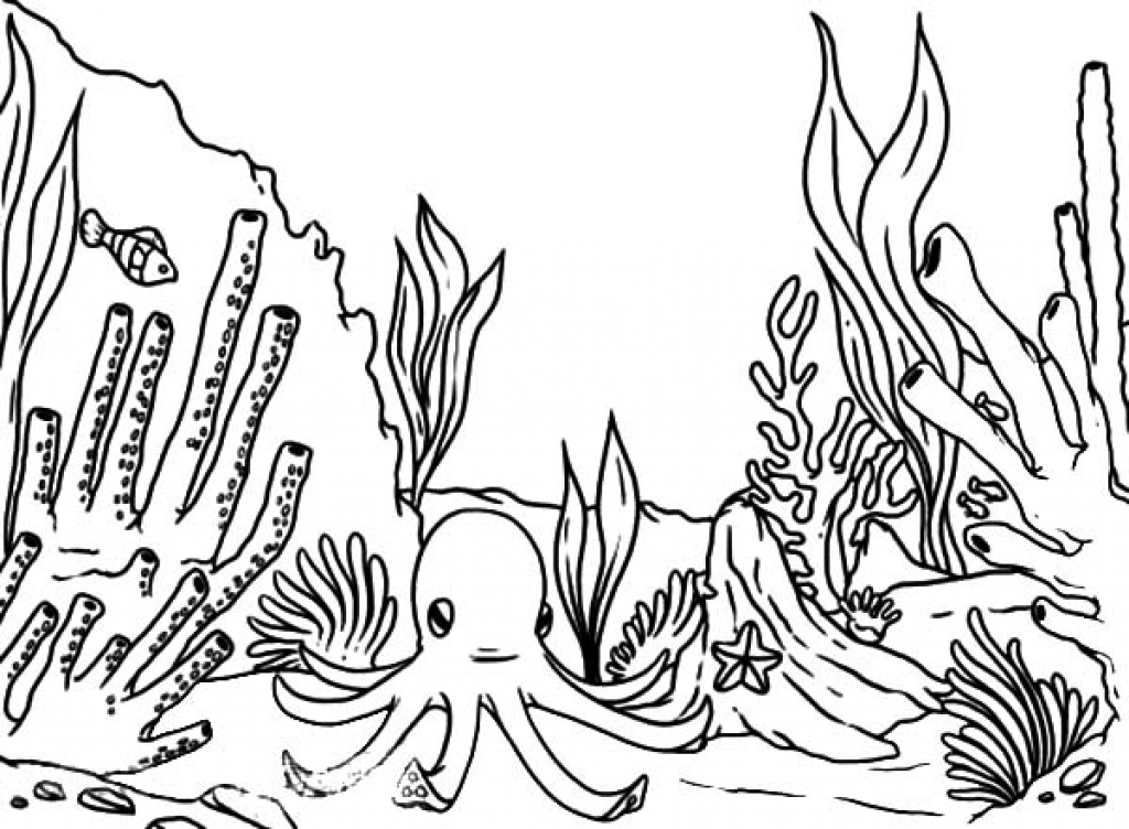 Simple Coral Reef Coloring Pages Printable Coloring Pages 1024x752 Simple Coral Reef Coloring Pages Printable Coloring Pages