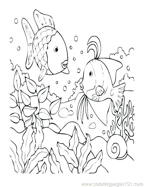 Coloring Pages National Geographic Society Coral Reef Plants 495x640 Coloring Pages National Geographic Society Coral Reef Plants
