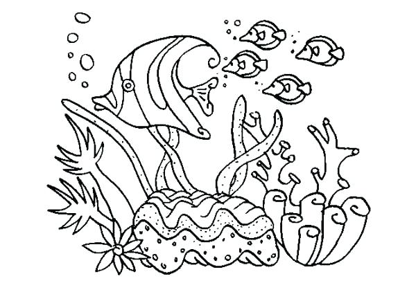 Coral Coloring Pages A Group Of Fish In Coral Reef Coloring Pages 600x422 Coral Coloring Pages A Group Of Fish In Coral Reef Coloring Pages
