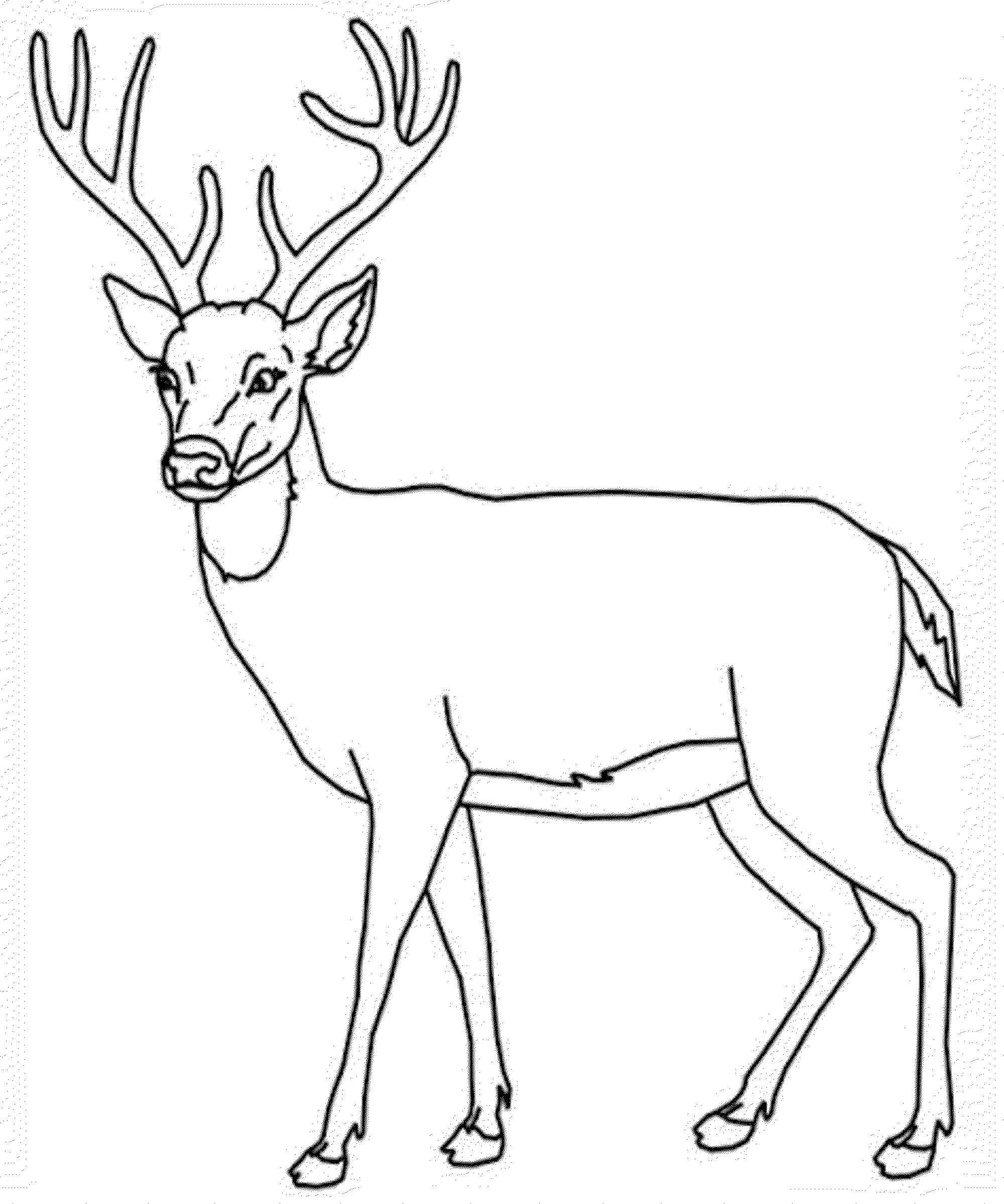 2000x2397 Reindeer Antlers Coloring Pages Printable Coloring For Kids 2018
