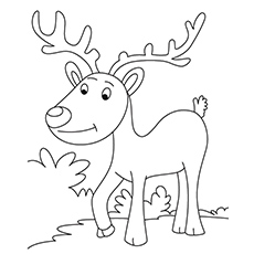 Top 20 Free Printable Reindeer Coloring Pages Online 230x230 Top 20 Free Printable Reindeer Coloring Pages Online