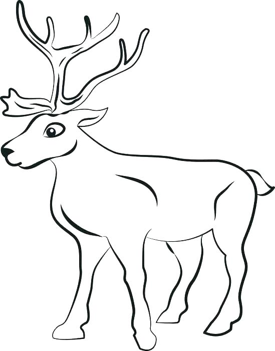 Reindeer Coloring Pages Reindeer Coloring Page Free Printable 549x700 Reindeer Coloring Pages Reindeer Coloring Page Free Printable