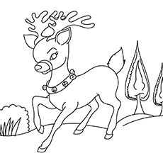 Top 20 Free Printable Reindeer Coloring Pages Online 230x230 Top 20 Free Printable Reindeer Coloring Pages Online