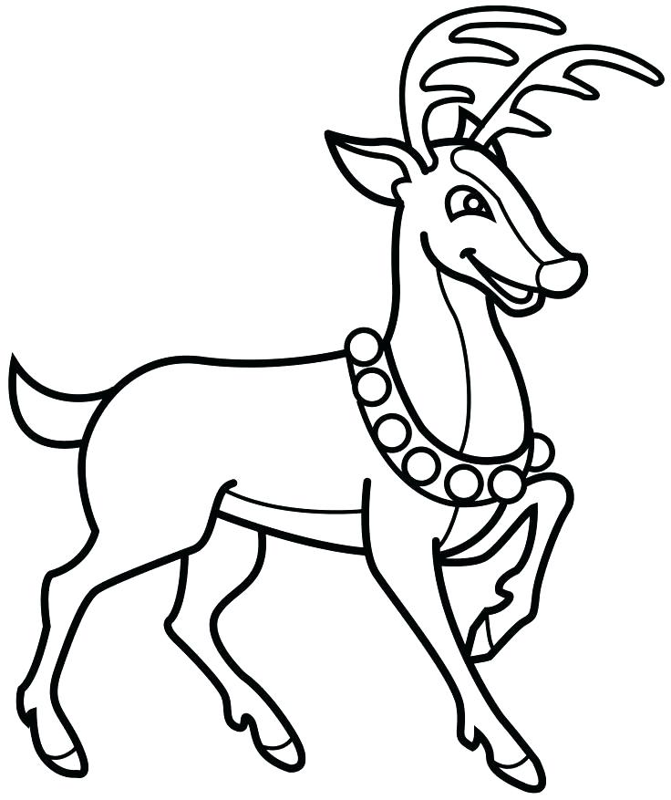 Reindeer Coloring Page 736x877 Reindeer Coloring Page