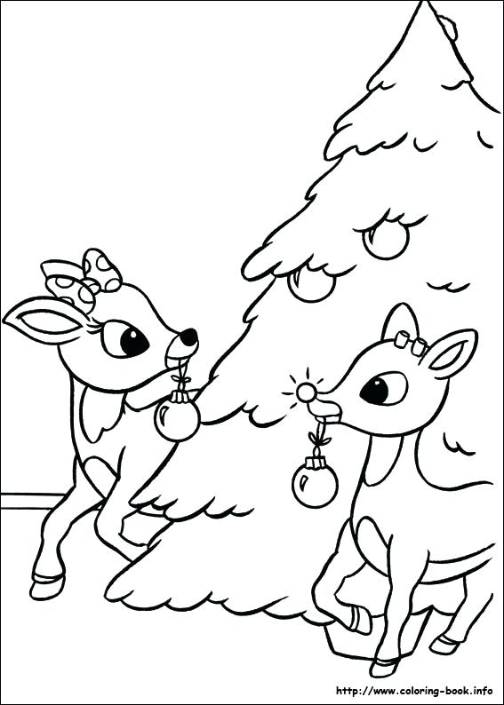 Reindeer Coloring Pages 567x794 Reindeer Coloring Pages