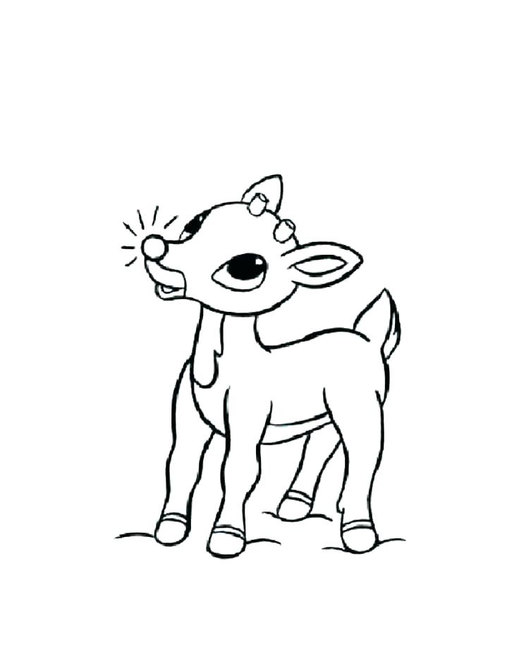 Coloring Reindeer The Red Nosed Reindeer Coloring Picture Coloring 736x951 Coloring Reindeer The Red Nosed Reindeer Coloring Picture Coloring
