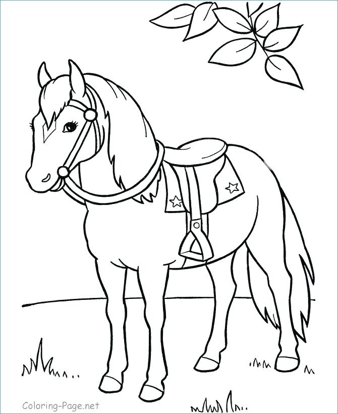 670x820 Head Coloring Page Horse Coloring Pages Preschool And Kindergarten
