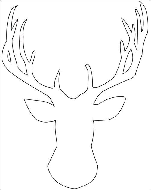 502x634 798 Best Animal Coloring Pages For Adults Images
