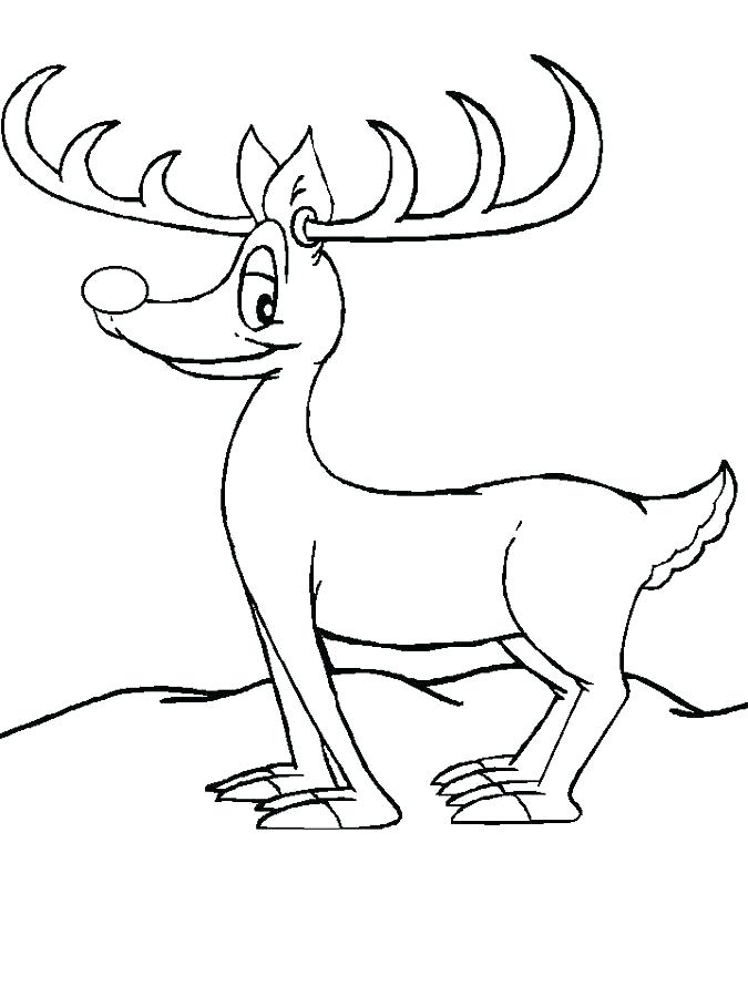 675x900 Coloring Pages Reindeer Coloring Pages Reindeer Parents