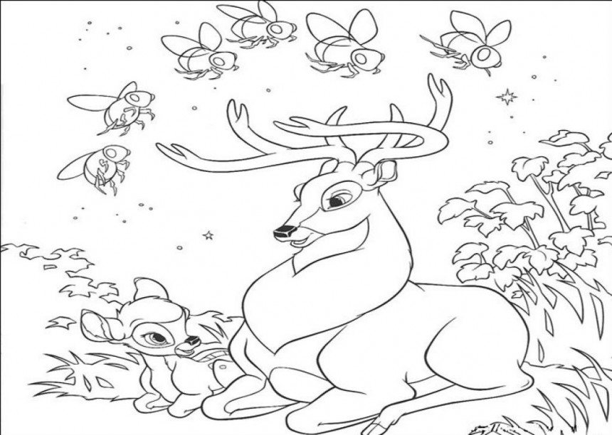 Free Printable Deer Coloring Pages For Kids 860x612 Free Printable Deer Coloring Pages For Kids