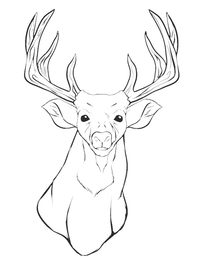 Reindeer Head Coloring Page Deer Pages Print Hand Colouring Book 680x911 Reindeer Head Coloring Page Deer Pages Print Hand Colouring Book