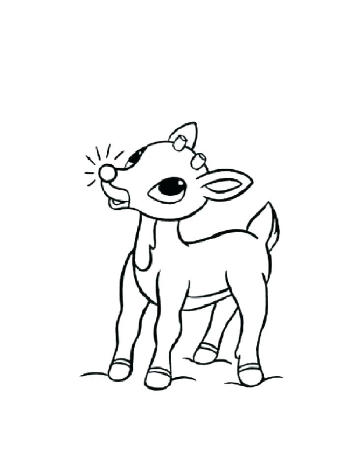 Rudolph Printable Coloring Pages Printable Coloring Pages 736x951 Rudolph Printable Coloring Pages Printable Coloring Pages
