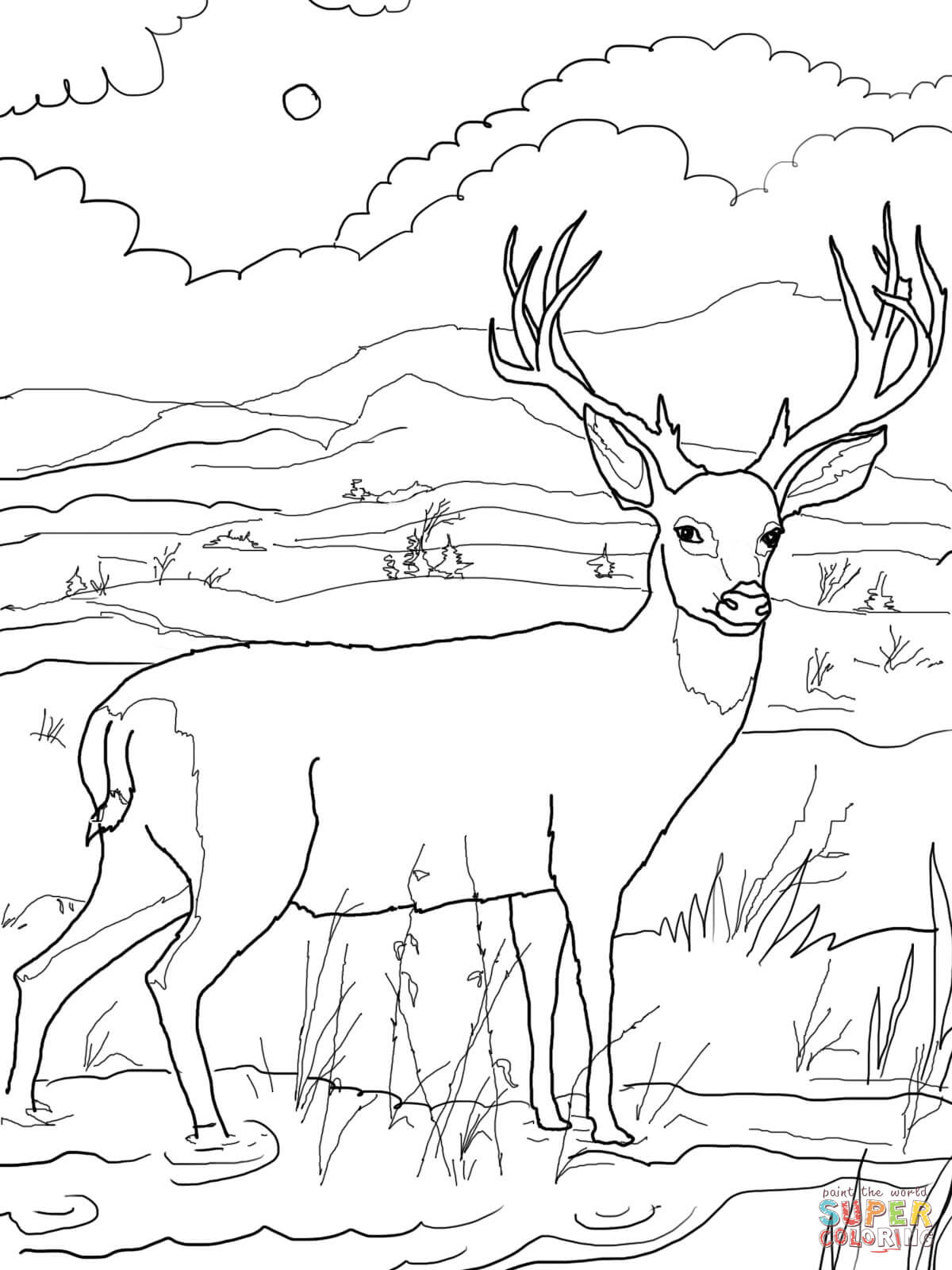 Focus Deer Colouring Pages Coloring Printable 1200x1600 Focus Deer Colouring Pages Coloring Printable