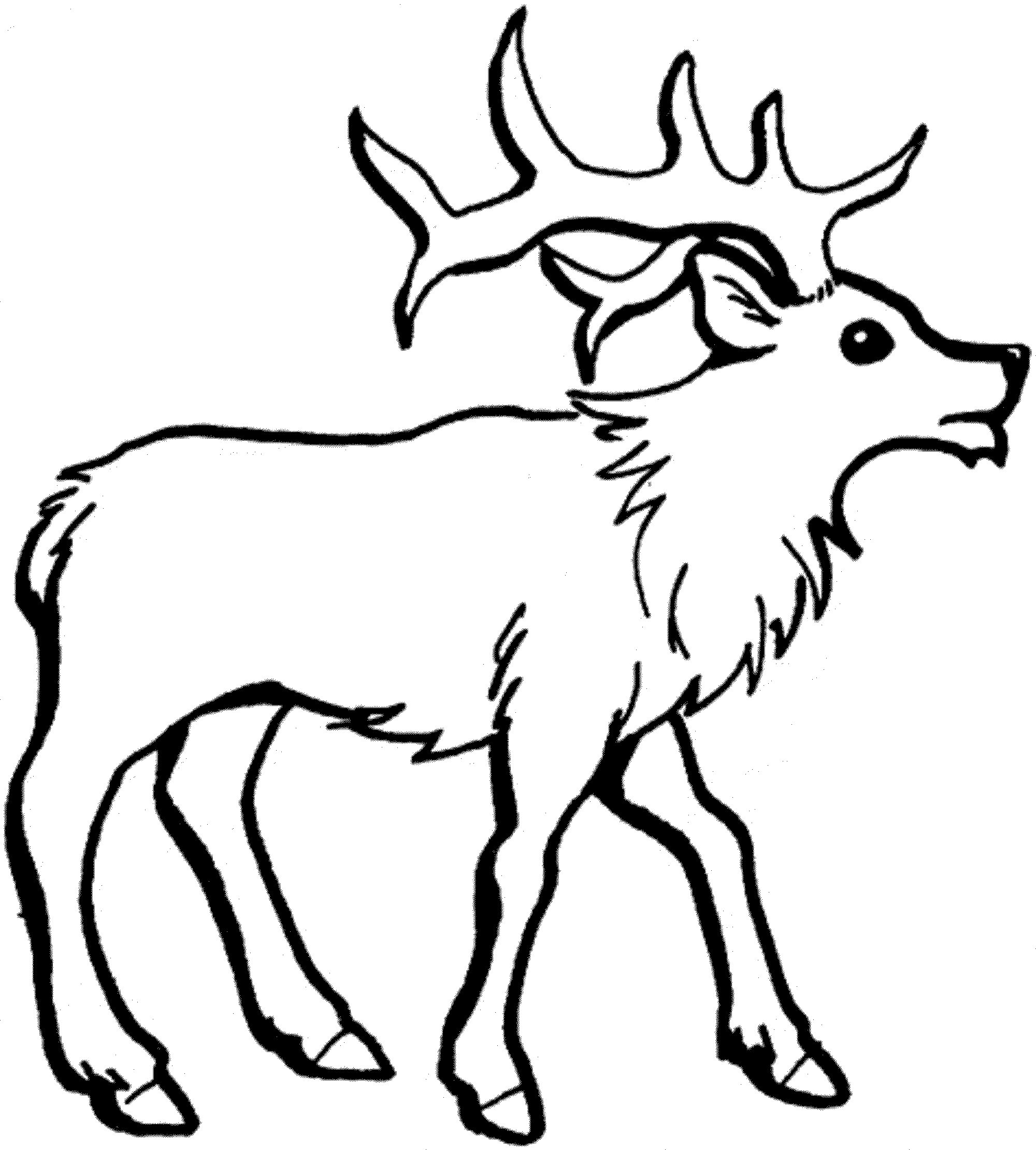 Reindeer Printable Coloring Pages 2000x2220 Reindeer Printable Coloring Pages