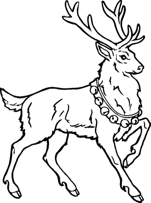 Rudolph Printable Coloring Pages Marvelous Design Ideas Reindeer 520x698 Rudolph Printable Coloring Pages Marvelous Design Ideas Reindeer