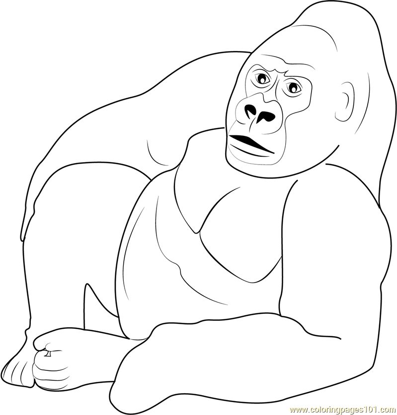 799x837 Gorilla Relaxing Coloring Page