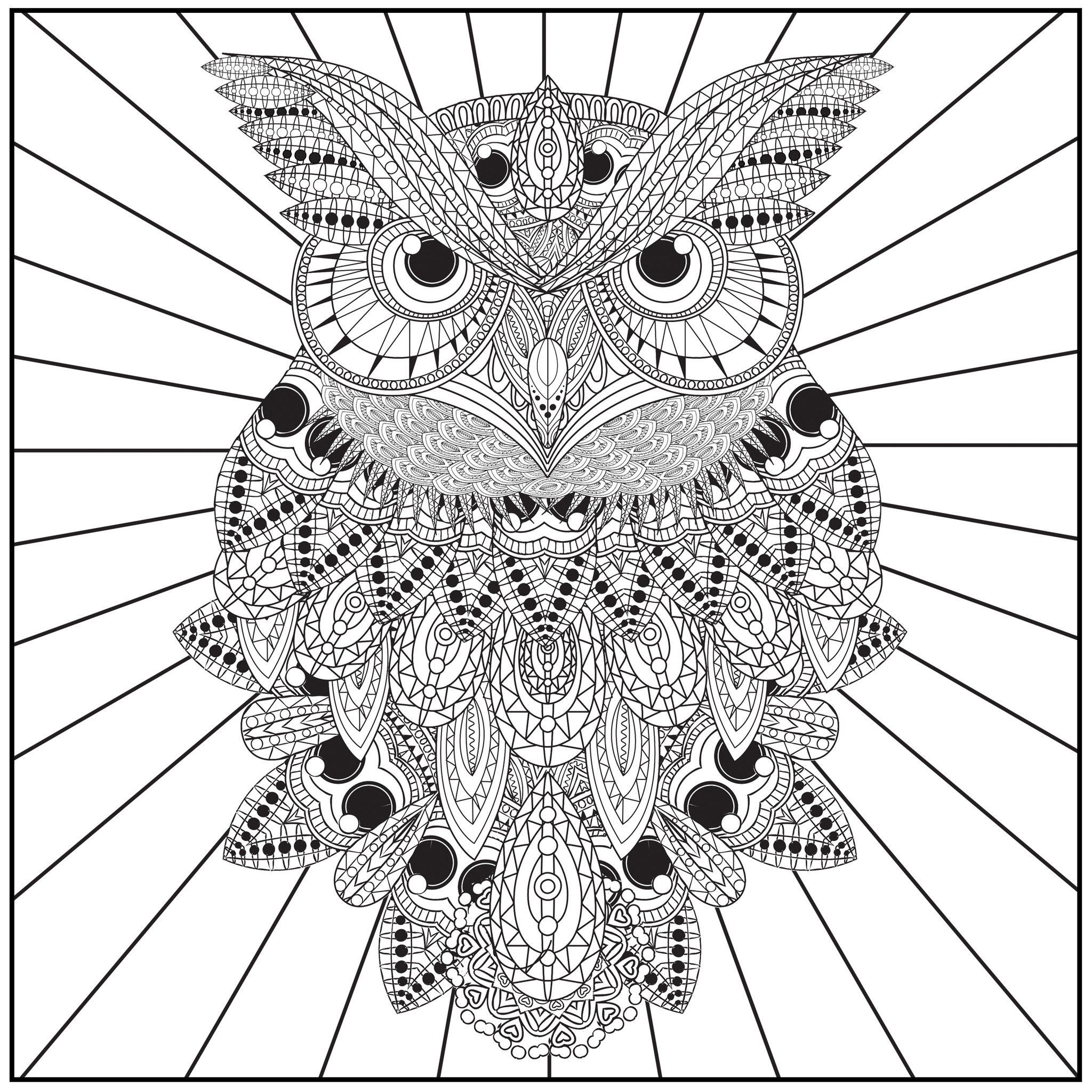 2048x2048 Owl Coloring Pages For Adults New Relaxing Coloring Pages