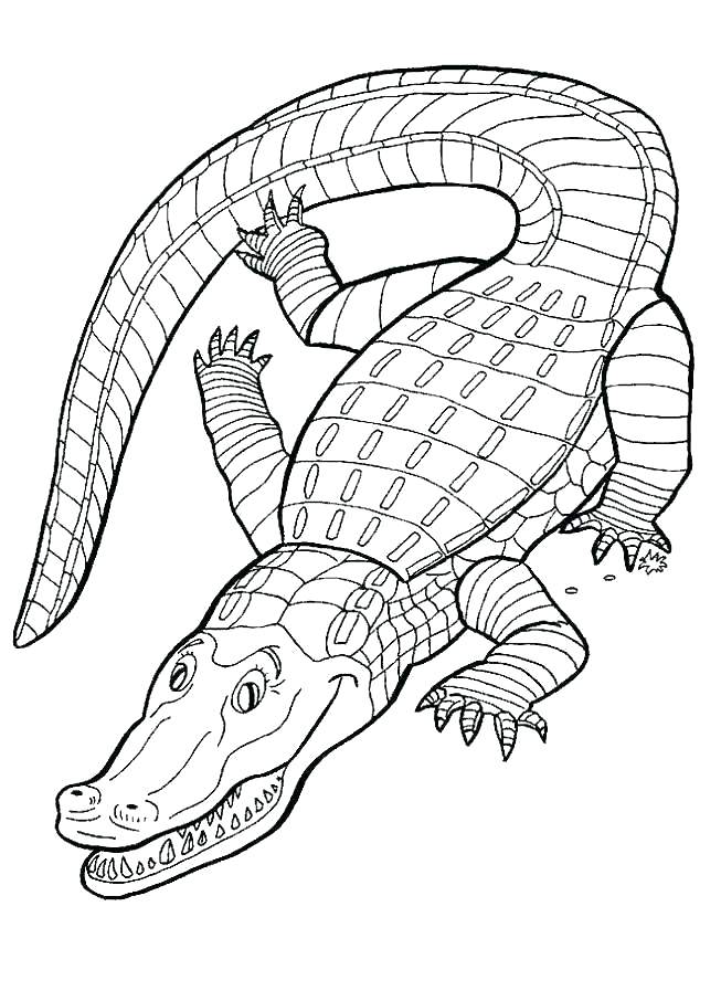 Alligator Coloring Pages Reptiles Coloring Pages Reptile Coloring 653x897 Alligator Coloring Pages Reptiles Coloring Pages Reptile Coloring
