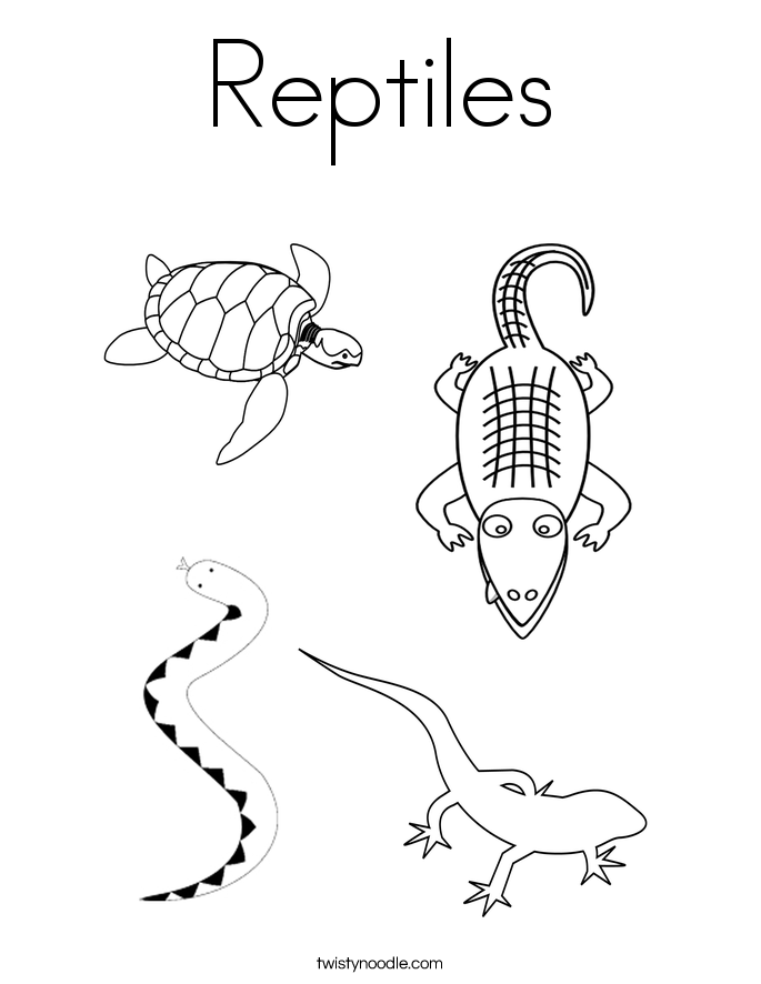 Reptile Coloring Pages 685x886 Reptile Coloring Pages